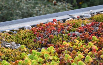 the cost of Tancred green roof installation