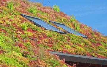 Tancred living roof systems