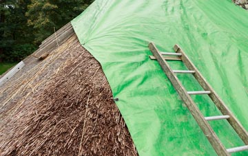 maintaining Tancred thatch
