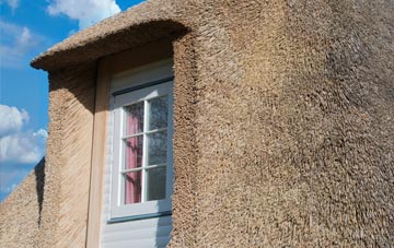 Tancred thatch roof disadvantages