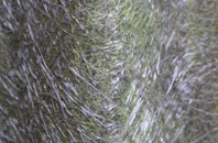 Tancred fibreglass roof work